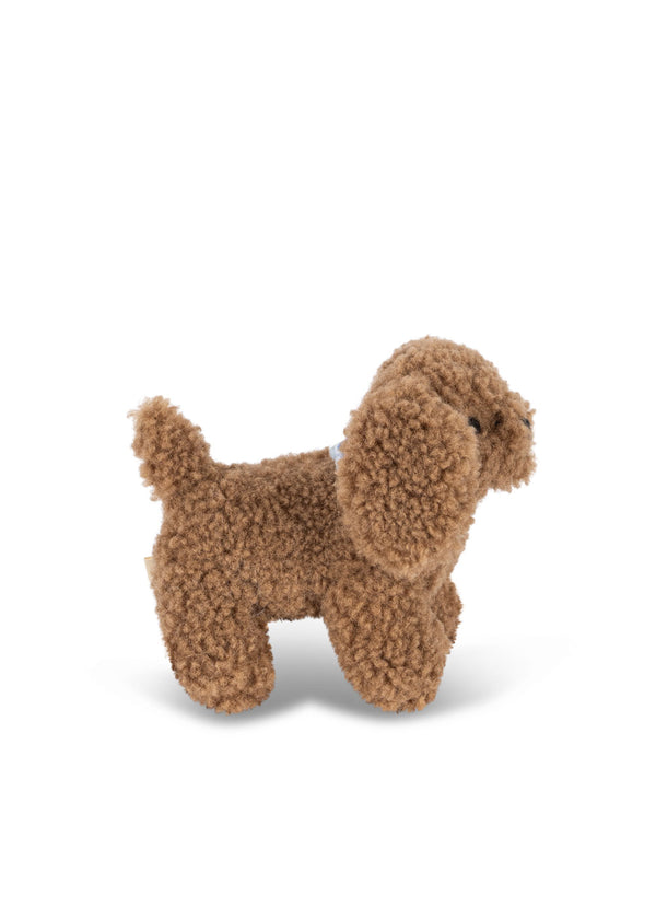 Activity Puppy | Dog