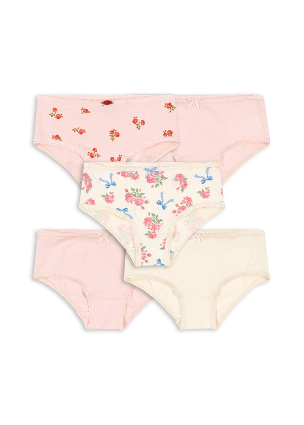 Basic 5 Pack Girl Underpants Gots