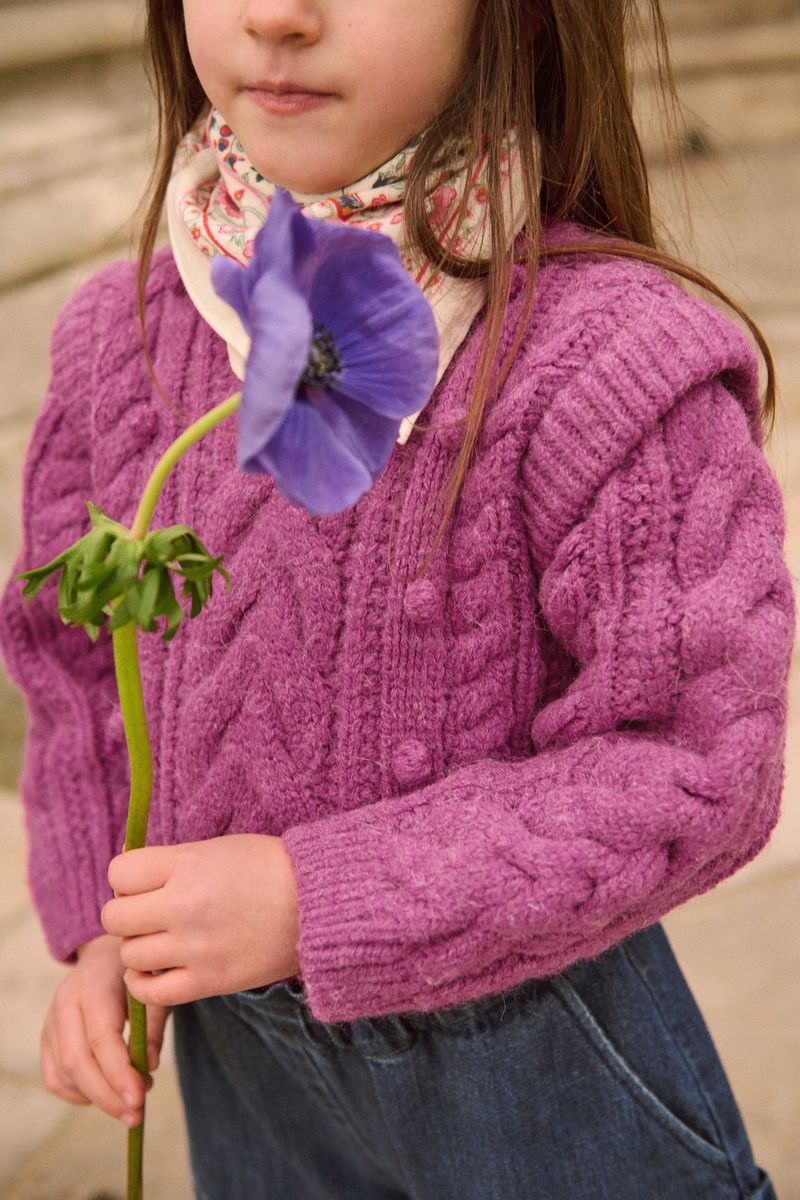 Jumper Anikalia | Raspberry