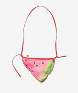 Little Zip Purse | Summer Slice