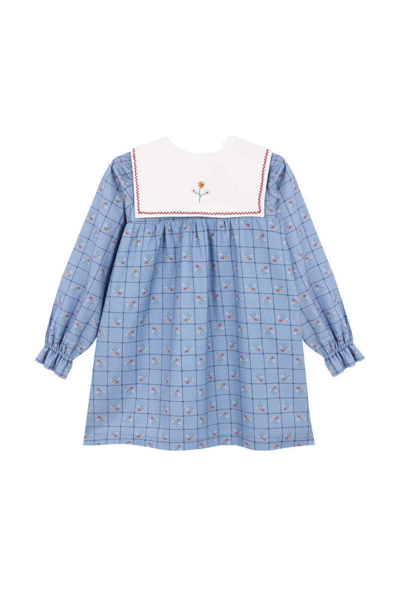 Catherina Embroidered Dress