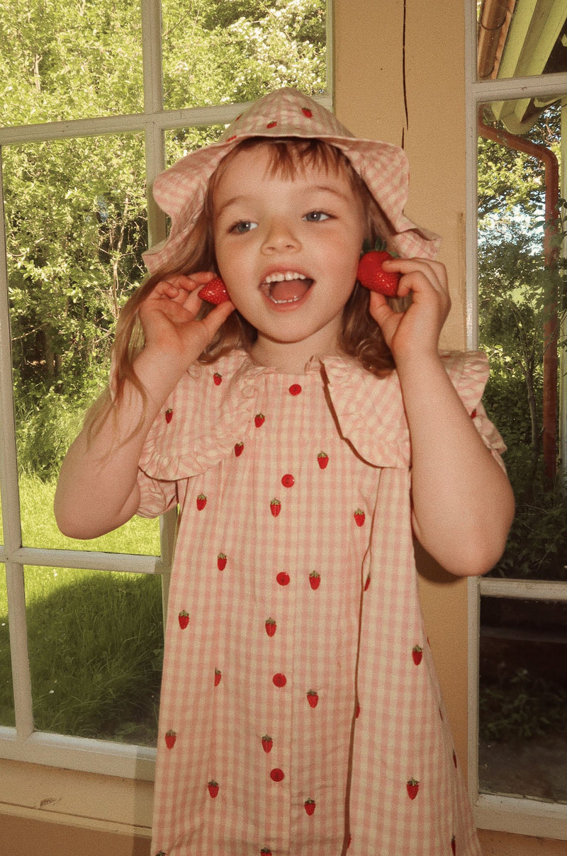 Dolly SS Dress | Pink Berry Gingham