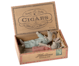 Mum and dad in cigarbox