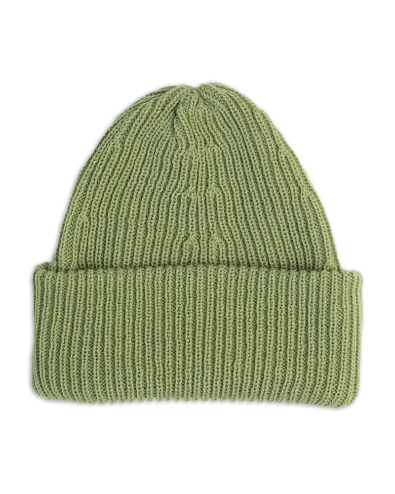 Adult Chunky Port Beanie | Fern