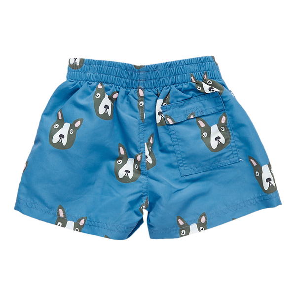 Baby Swim Trunk | Blue Boston Terrier