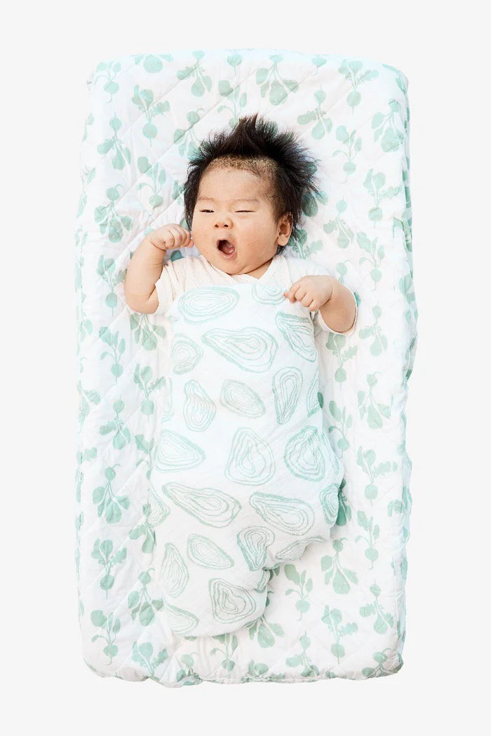 Swaddle | Agave Oyster