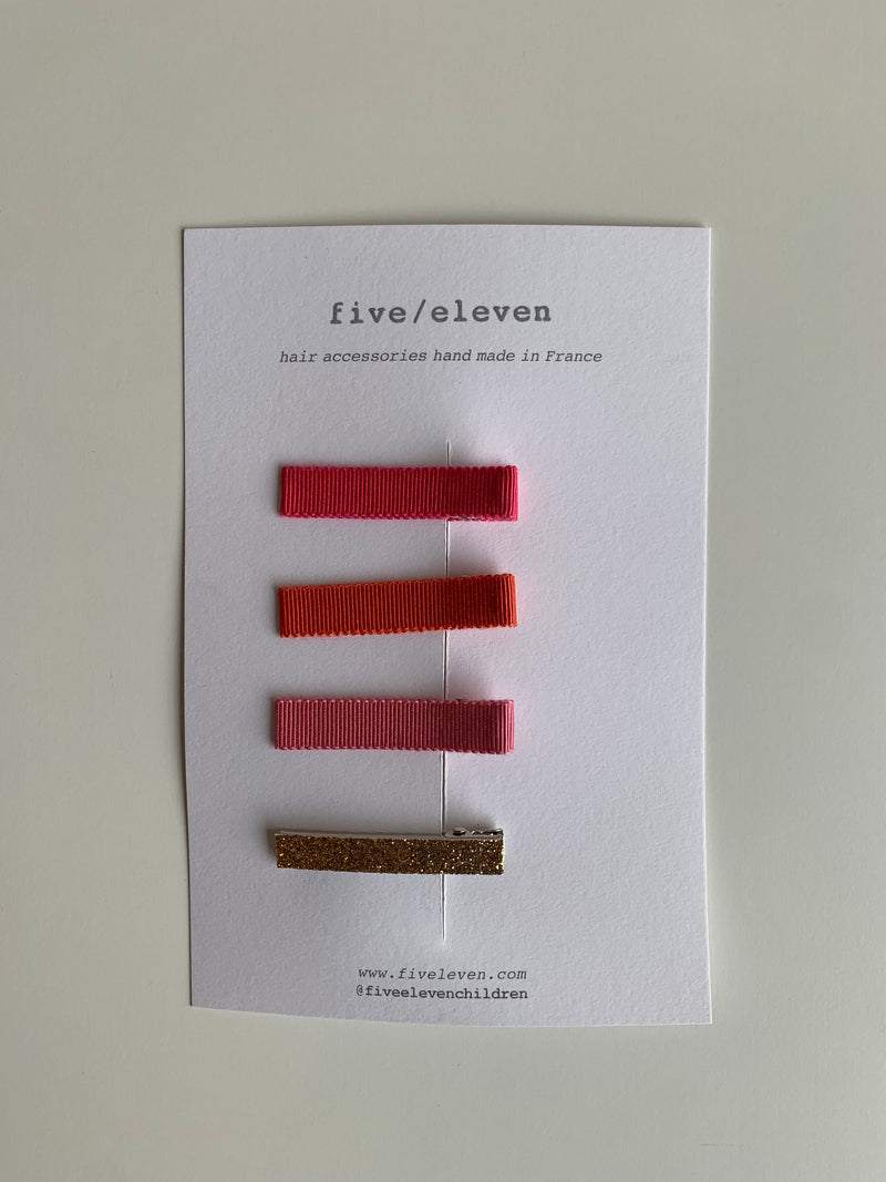 Set of 4 Flat Clips | Assorted