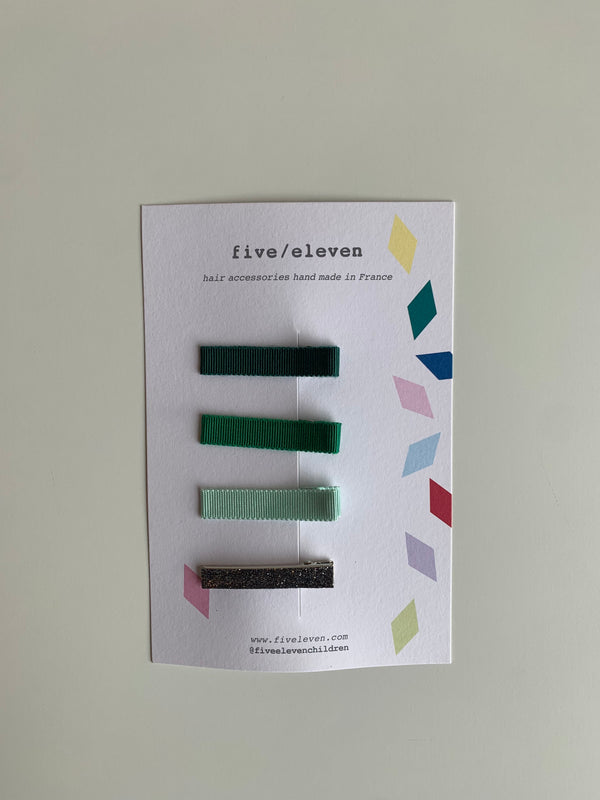 Set of 4 Flat Clips | Assorted