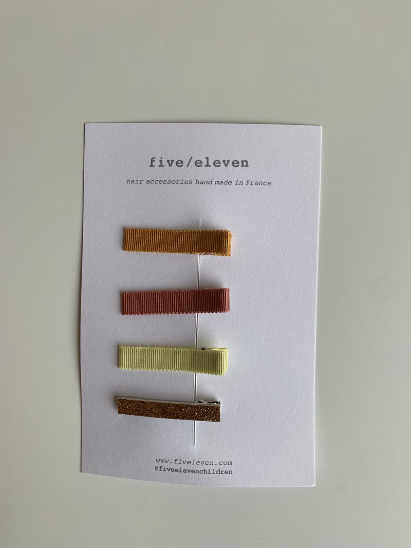 Set of 4 Flat Clips | Assorted